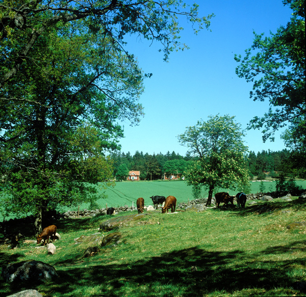 För trettio år sedan